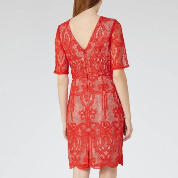 Reiss Zola Lace Overlay Scallop Edge Deep V Back Shift Dress - Picture 2 of 10